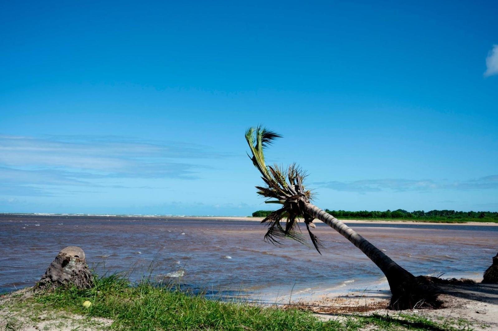 Bangalo Verde Recanto Uana - 280M Praia Tatuamunha Maceió Exterior foto